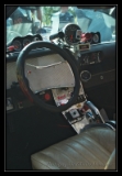 Hot Camaro - 7